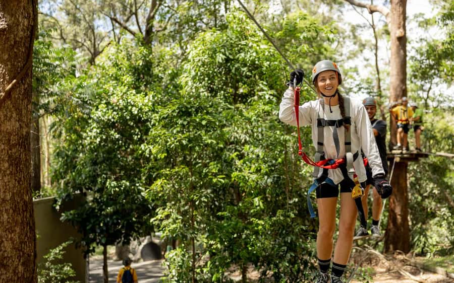 Currumbin: Treetop Challenge Adventure Park - Moving into the harder circuits