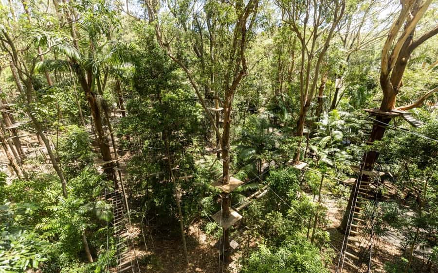 Currumbin: Treetop Challenge Adventure Park - Getting started on the two green courses