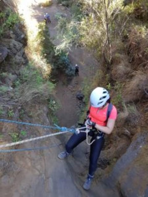 Dry canyoning Chimoche - Canarian pine forest and cloud-covered views