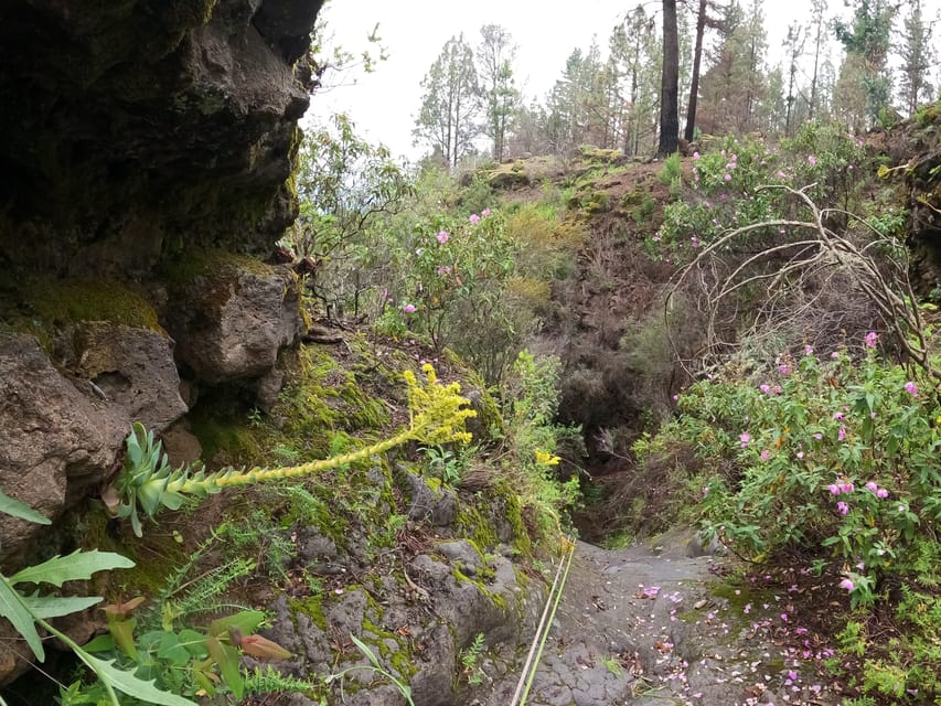 Dry canyoning Chimoche - A small group makes rope sections easier