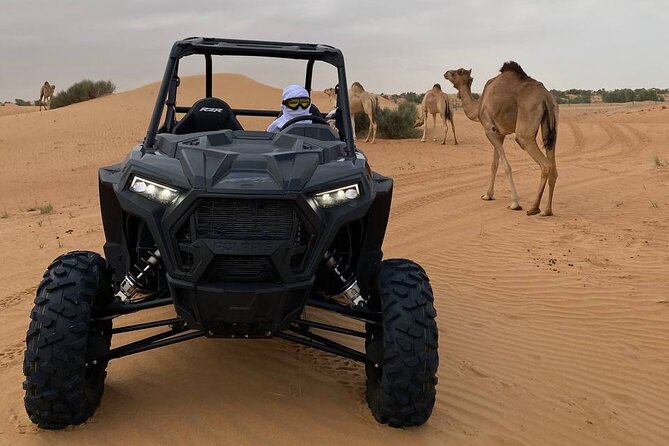 Dubai: Extreme Red Dune Buggy Desert Safari Adventure - Who will enjoy this most?
