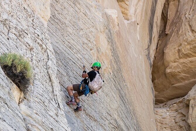 East Zion Elk Heart Cliffs Via Ferrata and Rappelling (3Hr) - Reaching the Top, Then Rappelling Down