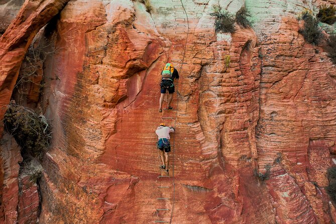 East Zion Elk Heart Cliffs Via Ferrata and Rappelling (3Hr) - Is $179 a Fair Price?