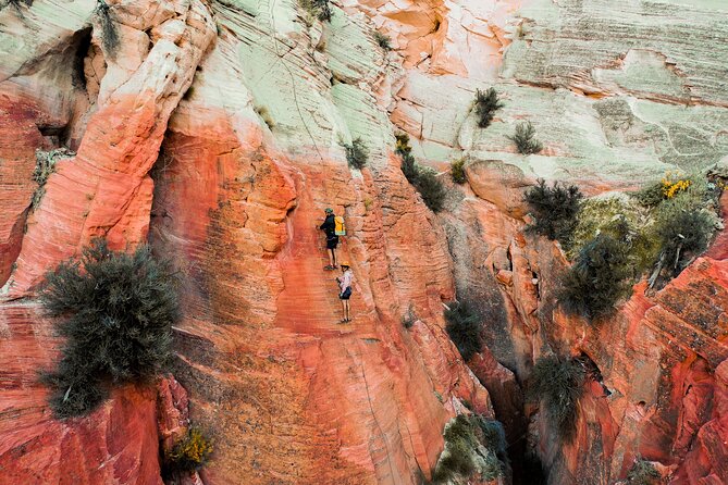 East Zion Elk Heart Cliffs Via Ferrata and Rappelling (3Hr) - The Views Over Orderville Valley