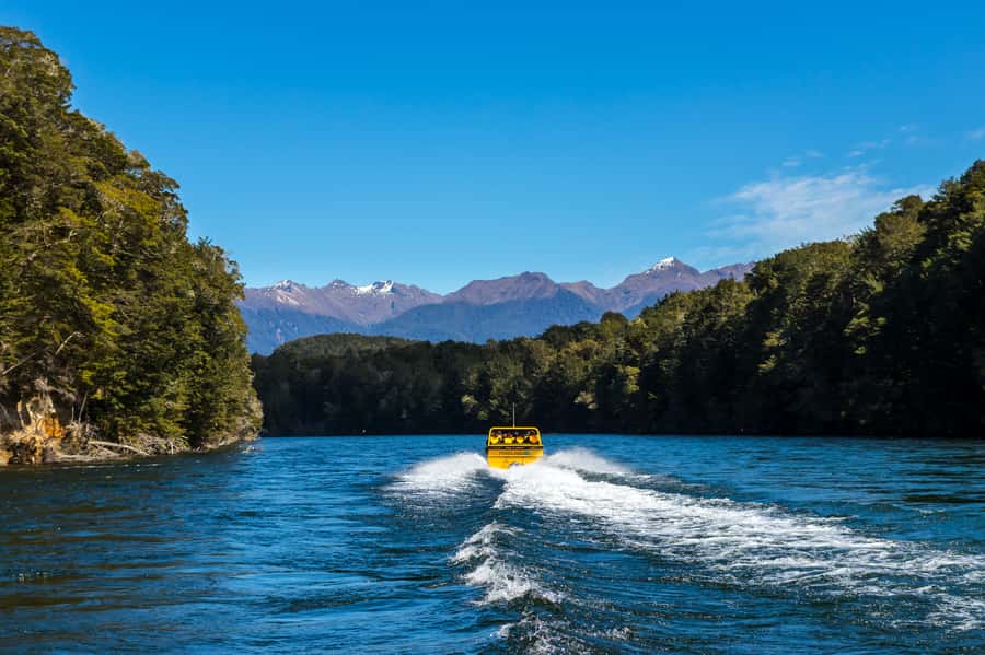 Fiordland: Jet Boat & Nature Walk Experience from Te Anau - Who should book this experience?