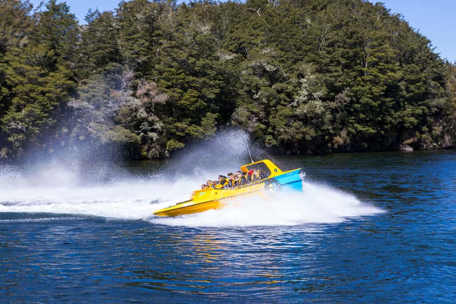 Fiordland: Jet Boat & Nature Walk Experience from Te Anau - Queen’s Reach and the Waiau River