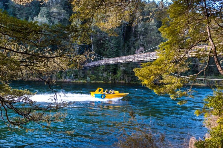 Fiordland: Jet Boat & Nature Walk Experience from Te Anau - The short walk through ancient beech forest