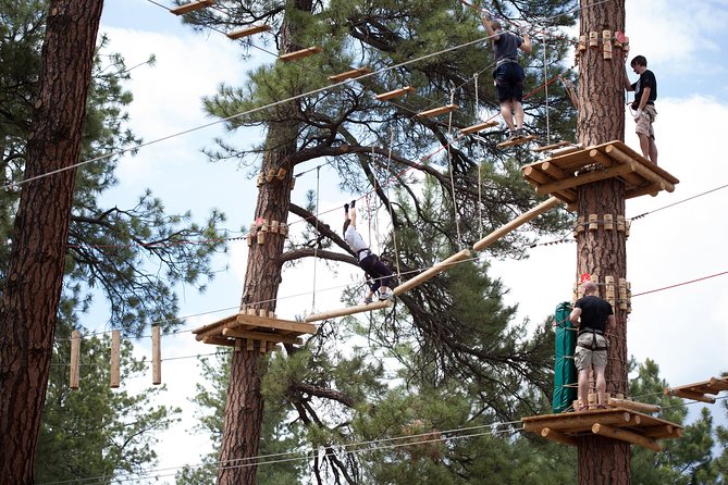 Flagstaff Extreme Adventure Course-Adult Course - Starting at Fort Tuthill County Park