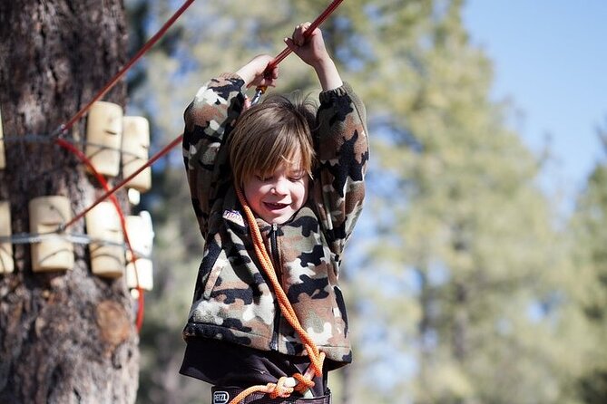 Flagstaff Extreme Adventure Course-Adult Course - Red course: higher bridges and moving surprises