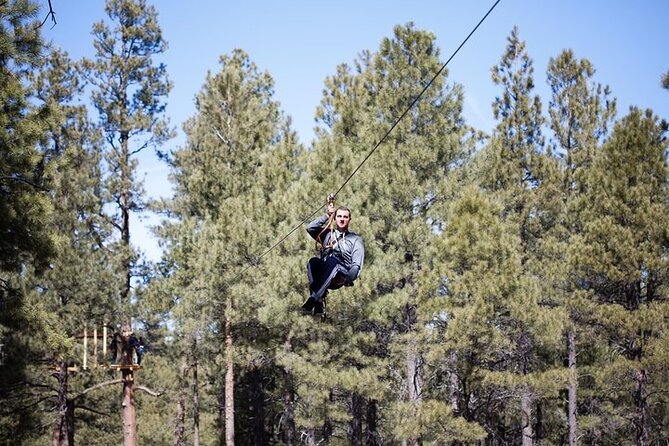 Flagstaff Extreme Adventure Course-Adult Course - Green course: getting comfortable above the ground