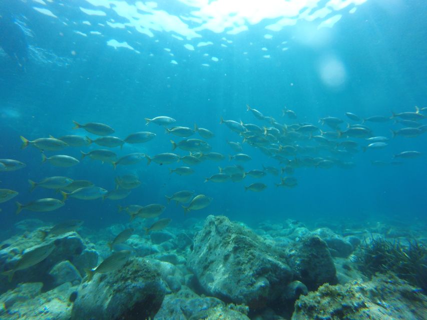 From Barcelona: Costa Brava Trails, Snorkeling & Cliff Jump - Key Points to Know Before You Book