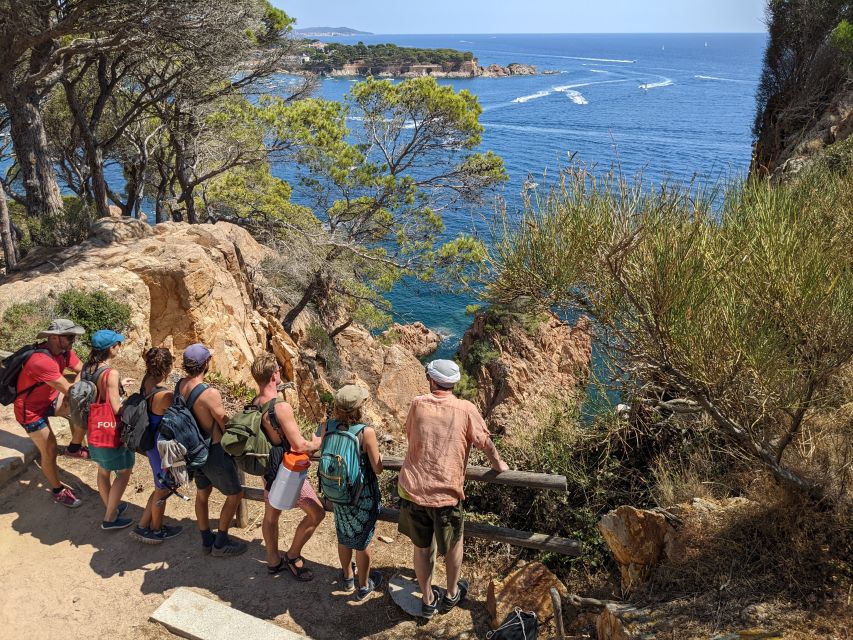 From Barcelona: Costa Brava Trails, Snorkeling & Cliff Jump - The Cliff Jumps: Small, Optional, and Fun