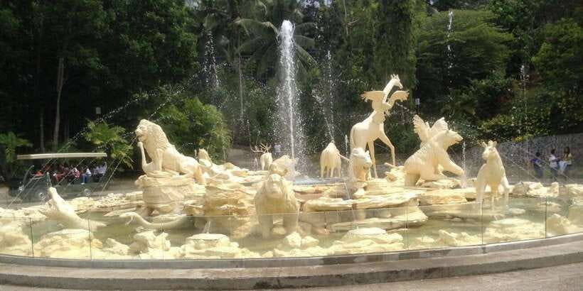 From Cebu City: Cebu Safari and Adventure Park Day Tour - Bird friends and the scheduled show