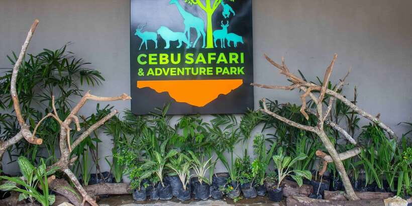From Cebu City: Cebu Safari and Adventure Park Day Tour - Is $90 a fair price?
