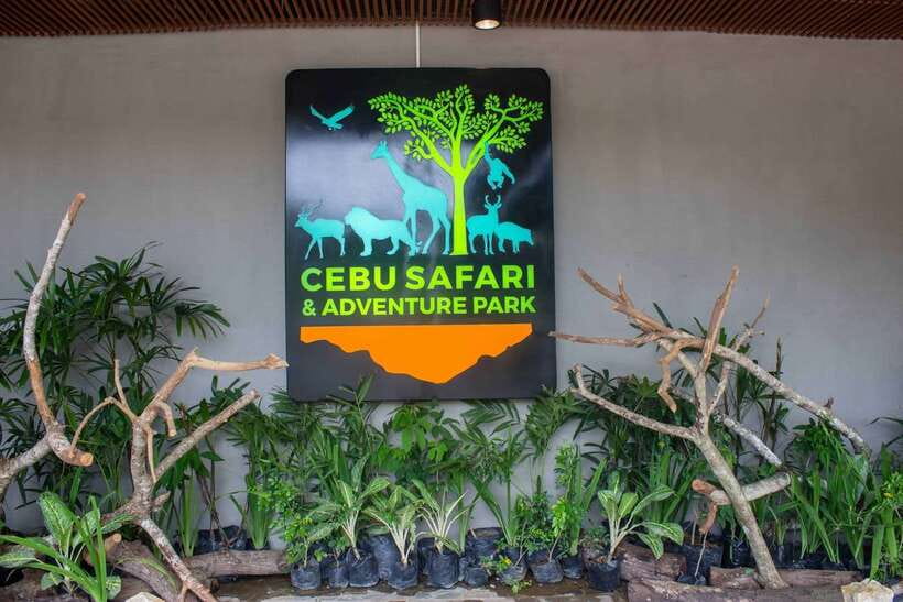 From Cebu City: Cebu Safari and Adventure Park Day Tour - Entering a 170-hectare animal park