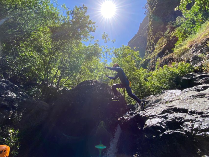 From Funchal: Intermediate Canyoning Adventure (Level 2) - Who should book this Madeira canyoning trip?