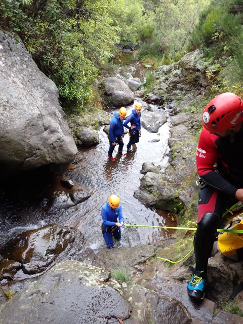 From Funchal: Madeira Island Canyoning for Beginners - Who should book this beginner canyoning trip?