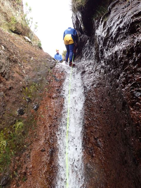 From Funchal: Madeira Island Canyoning for Beginners - Two hours of waterfalls, ropes, and natural pools