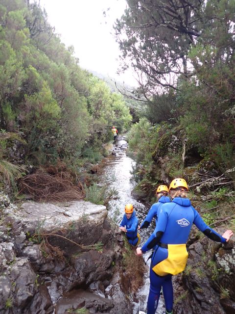 From Funchal: Madeira Island Canyoning for Beginners - Is $82 a fair price?
