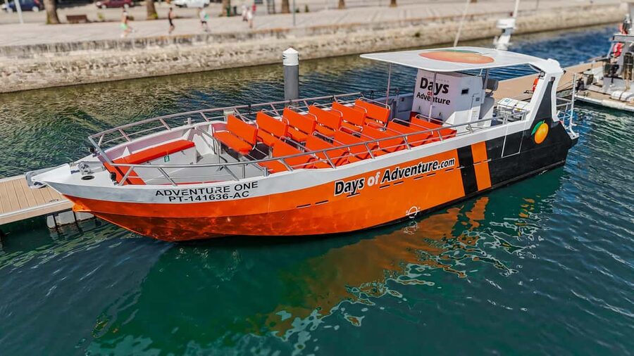 FROM LAGOS: BENAGIL AND DOLPHIN WATCHING - JETBOAT - Starting at Lagos Marina beside Amuras Bar