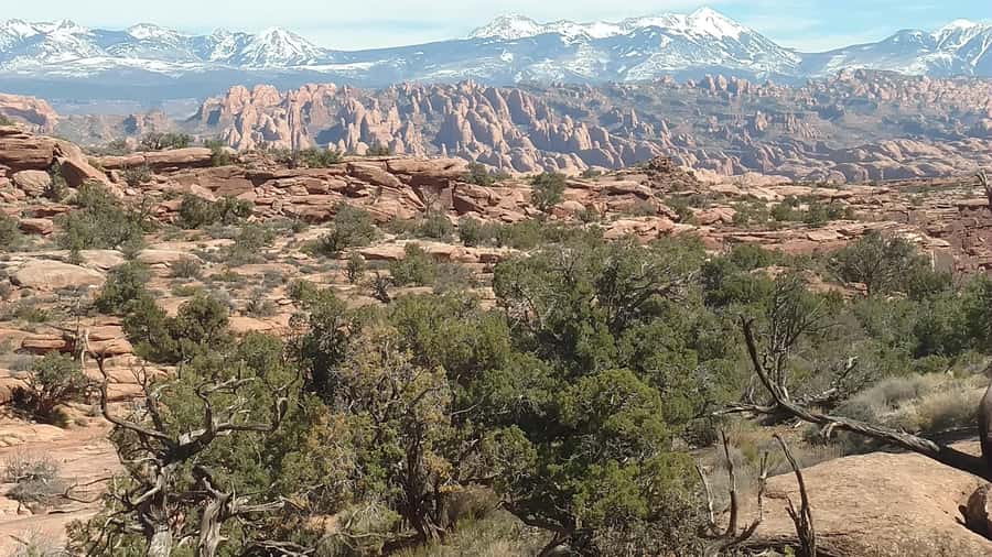 From Moab: Rock of Ages Moderate Rappelling Obstacle Course - Climbing Through Chimney Arch Country