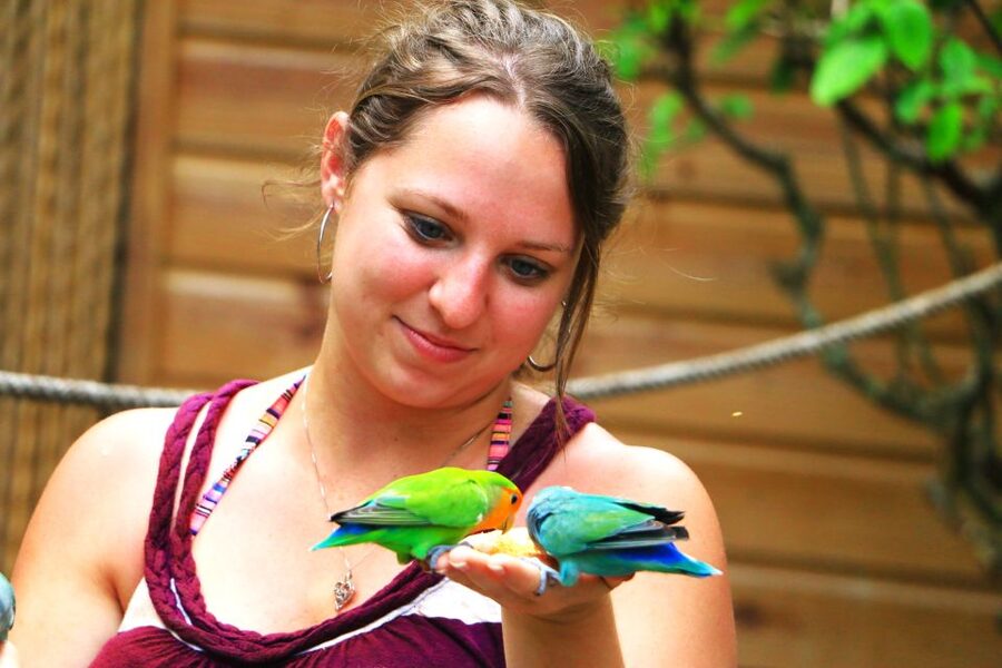 From Ocho Rios: Yaaman Adventure Park ATV Tour with Lunch - What the Yaaman ATV experience is really like