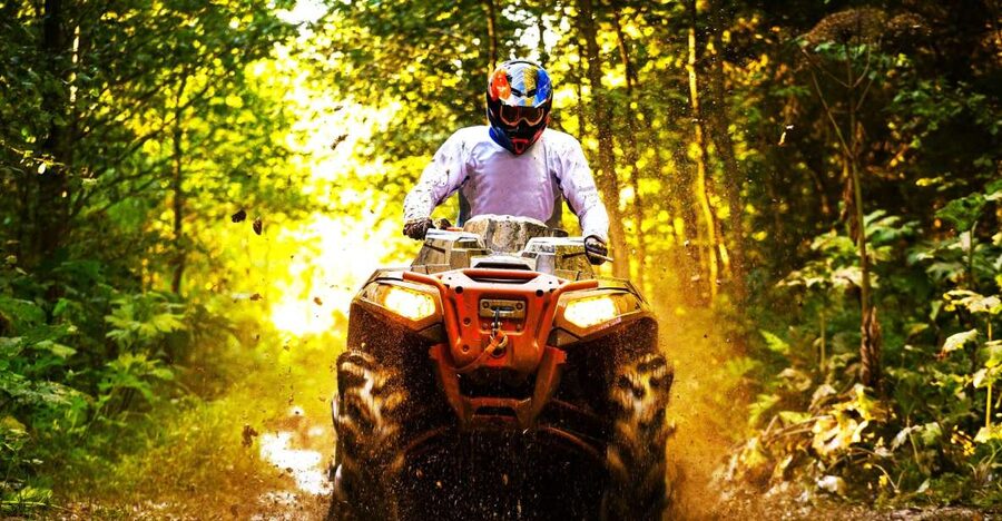 From Ocho Rios: Yaaman Adventure Park ATV Tour with Lunch - The bird aviary and a slower finish