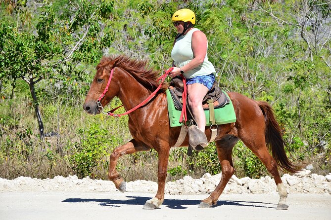 Full Access To Bavaro Adventure Park - With Buggys & Lunch - Lunch and the cost of the full package