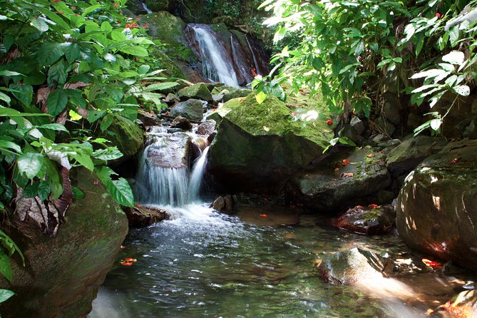 Full-Day Zipline and Waterfall Rappelling Adventure Near San Juan - Is $165 a fair price?