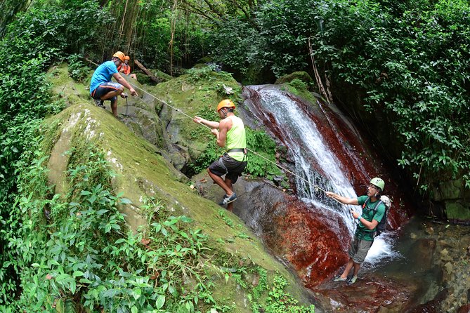 Full-Day Zipline and Waterfall Rappelling Adventure Near San Juan - Hiking upstream through Carite State Forest