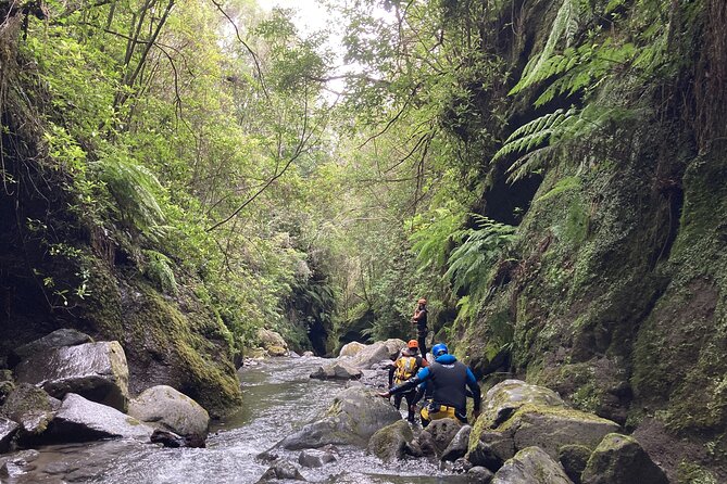 Funchal: Half-day Beginners Canyoning - Following Ribeira into Madeira’s water