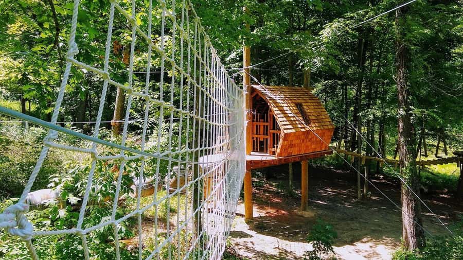 Galena: Aerial Adventure Park- Long Hollow Canopy Tours - Practical ways to enjoy the two hours
