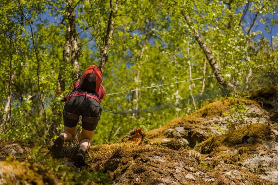 Geiranger: Rappelling tour with epic view - Key points to know before booking