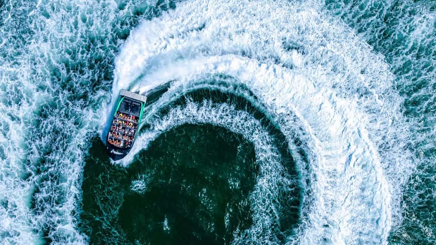Gold Coast: 360-Degree High-Speed Jet Boat Adventure - Checking in at Sea World Cruises Terminal