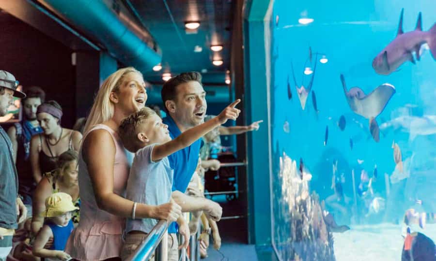 Gold Coast: Jet Boat Ride & Sea World Entry Ticket - Key points to know before booking