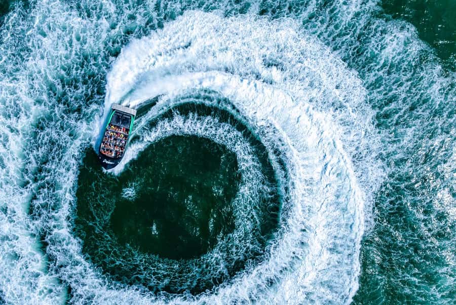 Gold Coast: Jet Boat Ride & Sea World Entry Ticket - The Arro Jet ride: 45 minutes of spins and slides