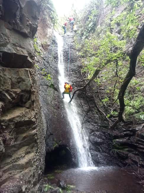 Gran Canaria: Canyoning Adventure in the Green Heart Jungle - The 20-minute walk into Gran Canaria’s wet canyon