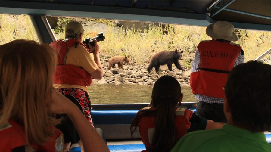 Hells Canyon: Yellow Jet Boat Tour to Kirkwood, Snake River - Key points to know before you go