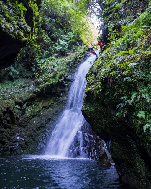 Intermediate Canyoning Madeira - What the $100 Price Really Covers