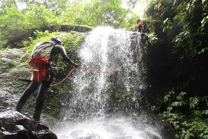 Intermediate canyoning trip in Bali " Samba canyon " - Rappels, slides, jumps, and waterfalls