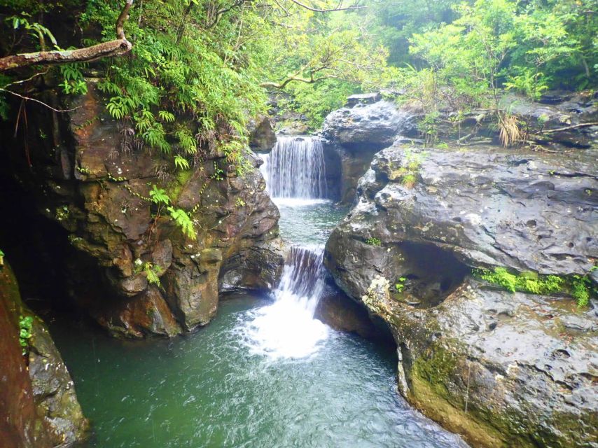 Iriomote Island: Guided 2-Hour Canyoning Tour - Why the included camera is worth having
