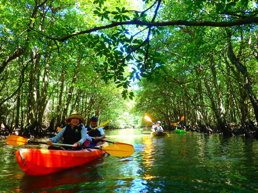 Iriomote Island: SUP or Canoeing and Canyoning Tour - Why this Iriomote combination works