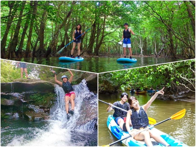 Iriomote Island: SUP or Canoeing and Canyoning Tour - Paddling through the mangroves