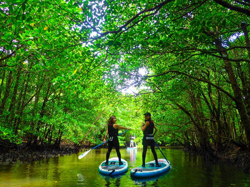 Iriomote Island: SUP or Canoeing and Canyoning Tour - Canyoning on the Ōmija River