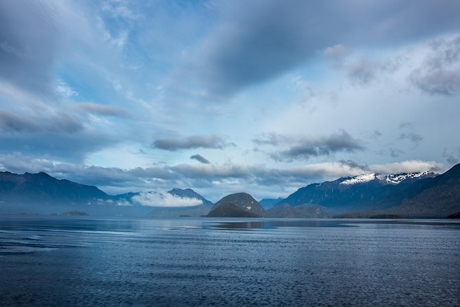 Jet Boat Journey through Fiordland National Park - Pure Wilderness - The short nature walk in Fiordland
