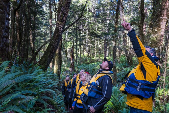 Jet Boat Journey through Fiordland National Park - Pure Wilderness - The return run brings back the thrills