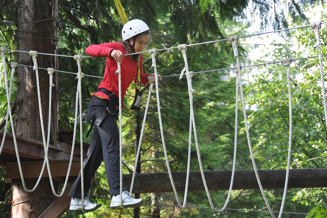 Ketchikan Shore Excursion: Rainforest Canopy Ropes and Zipline Adventure Park - Walking beneath 650-year-old cedars