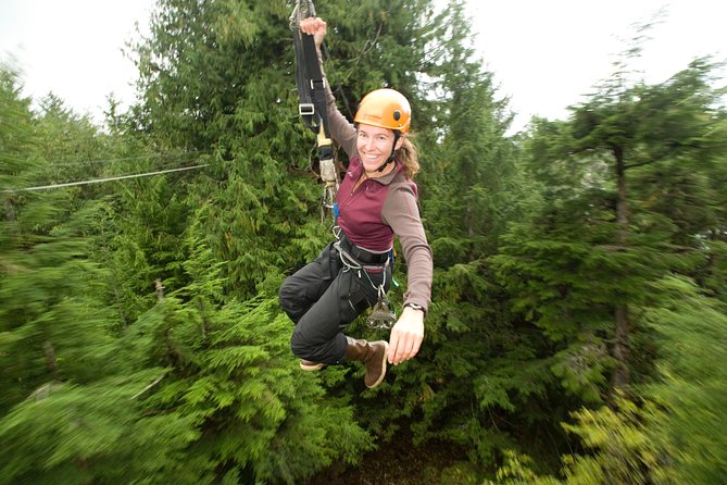 Ketchikan Shore Excursion: Rainforest Canopy Ropes and Zipline Adventure Park - Is $150 a fair price?
