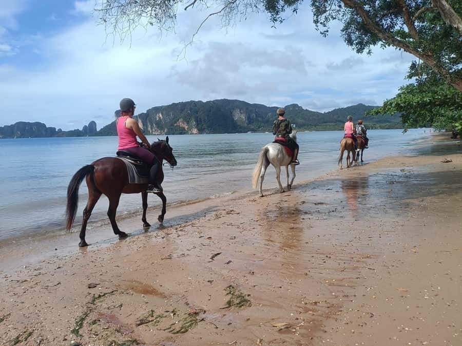 Krabi Horse Riding on the Beach and atv Extreme - The ATV run through Krabi’s countryside
