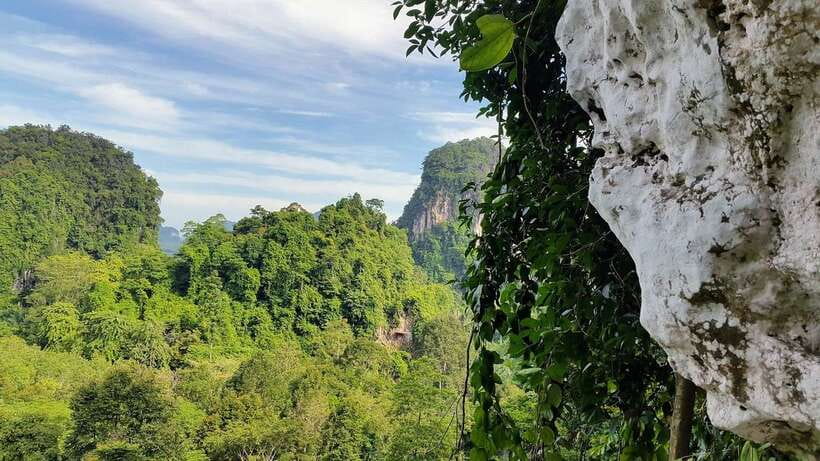 Krabi: Ziplining with Abseiling and Rock Climbing Options - Price and package value at about $50